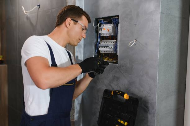Best Electrical Repair Services  in Lake Lakengren, OH